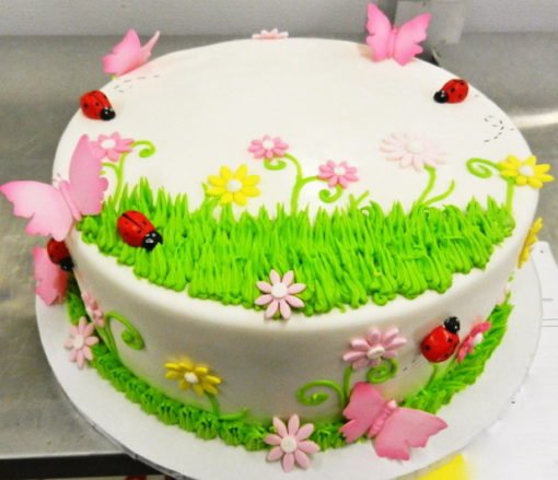 Spring Time Butterfly Cake in lahore