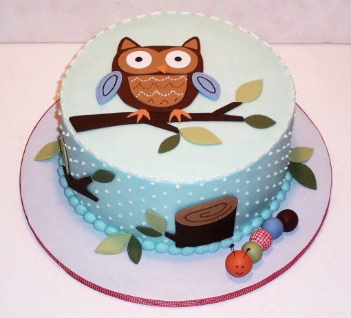 Owl with Trees Cake character cakes in lahore