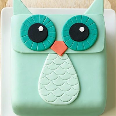 Owl Wide Eyes Cake in lahore