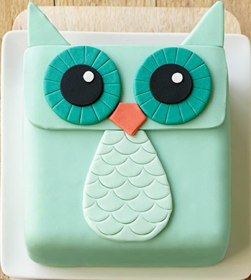 Owl Wide Eyes Cake in lahore