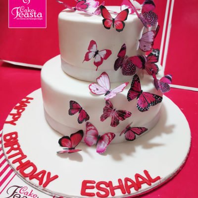 2 Tier Butterfly Theme Birthday Cake