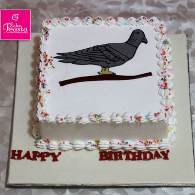 Pigon Birthday Cake